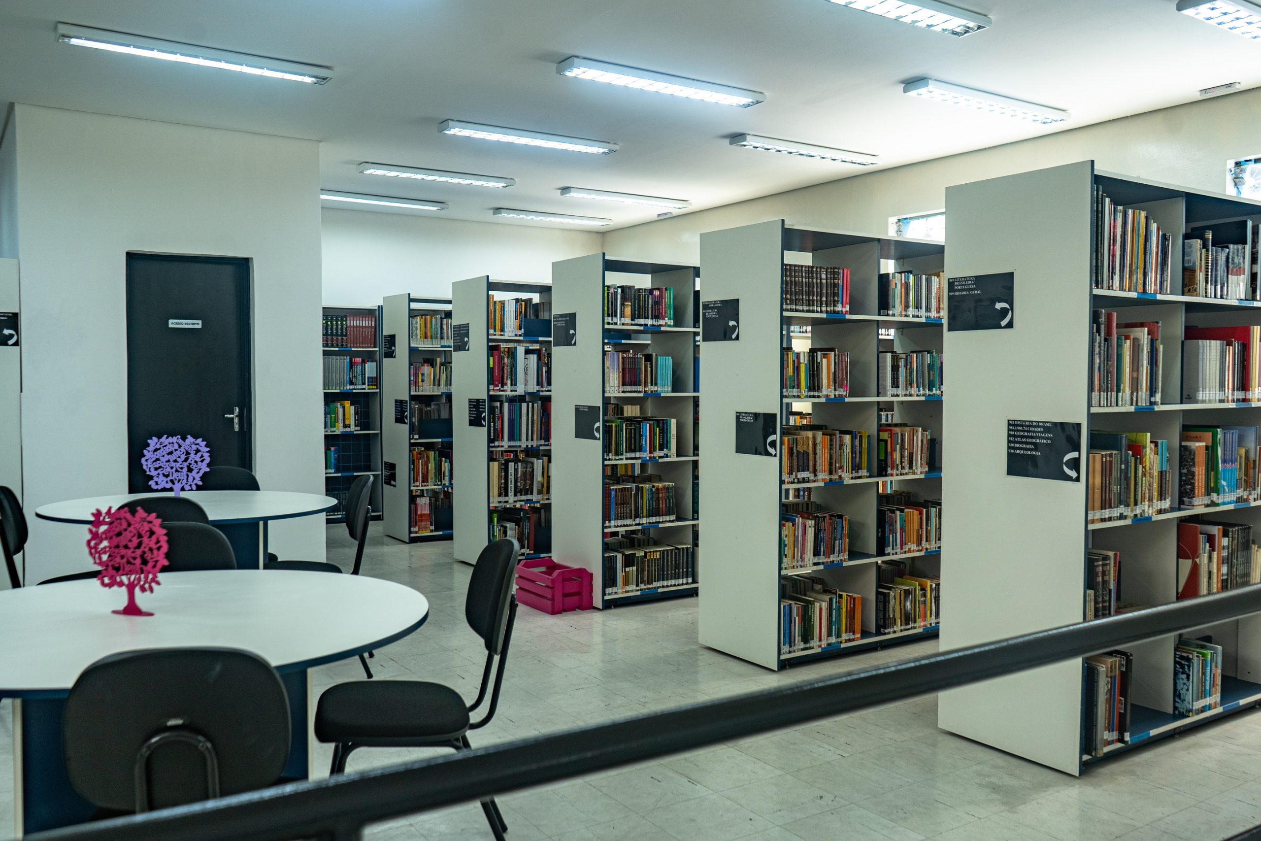 Biblioteca Castro Alves recebe revitalização na pintura