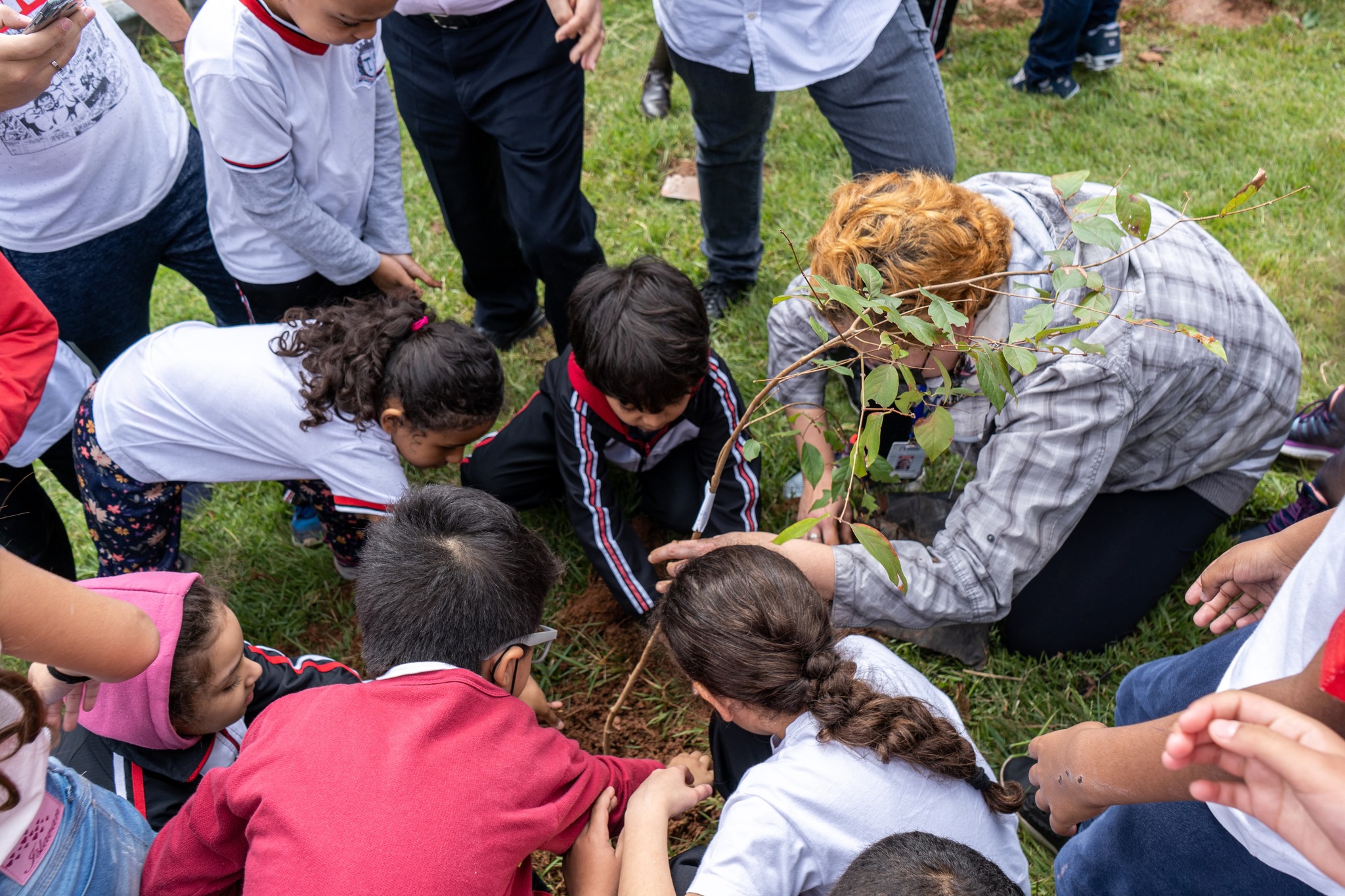 FOTO - Taboão da Serra realiza campanha Junho Verde voltada à educação ambiental e preservação do Meio Ambiente (1)