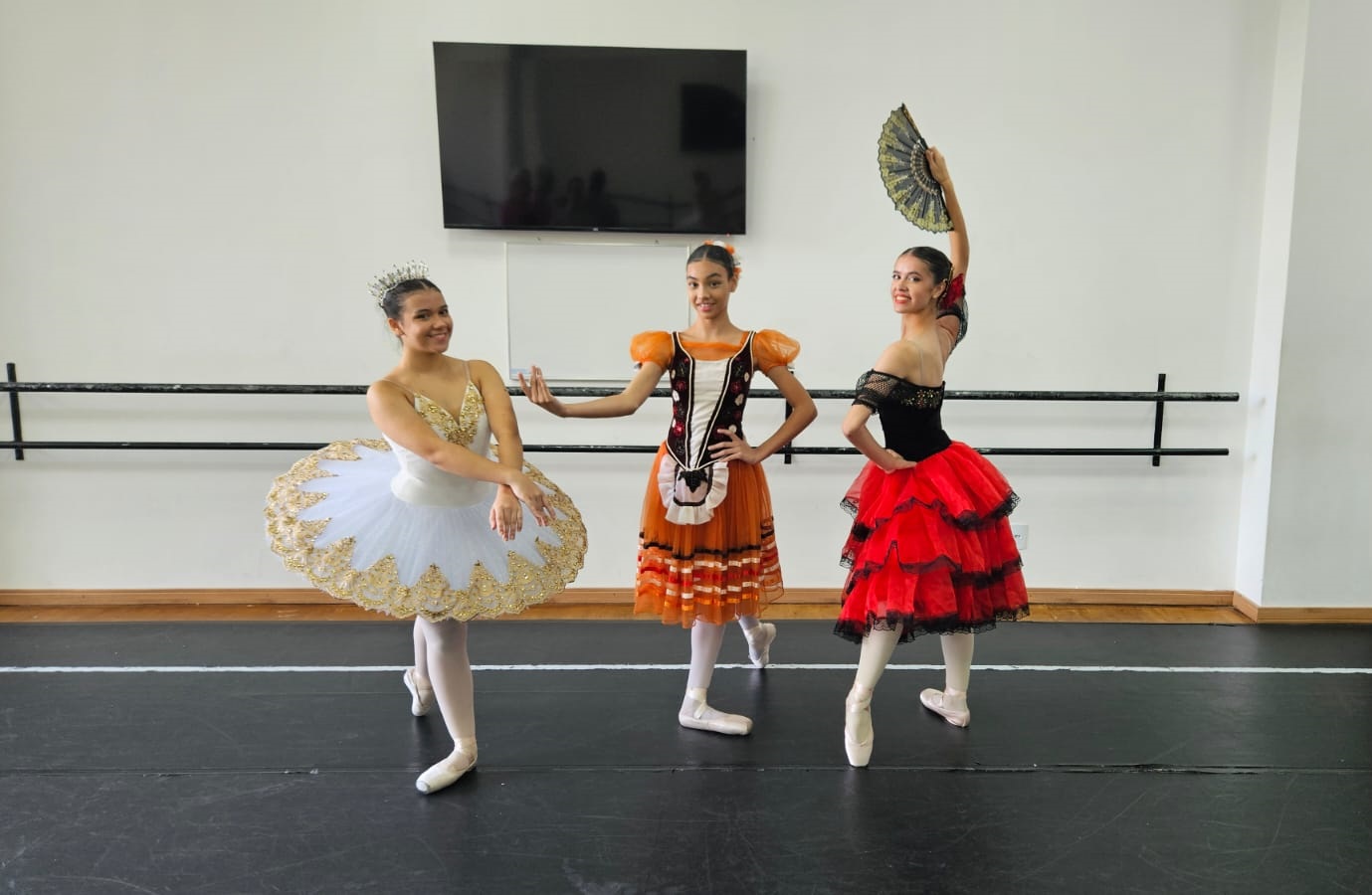 FOTO - Alunas da Escola Municipal de Artes de Taboão da Serra são selecionadas para participar do Festival Tanzolymp na Alemanha (2)